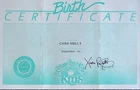 Vintage Cabbage Patch 'Kids Birth Certificate Girl ~ Cara Holly ~ Coleco 1980's