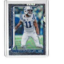 MICHAEL PITTMAN JR.   {~}  #02/10  - 