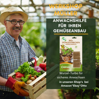 Chrysal Bio Anwachshilfe DüNgestäBchen 20 Stck