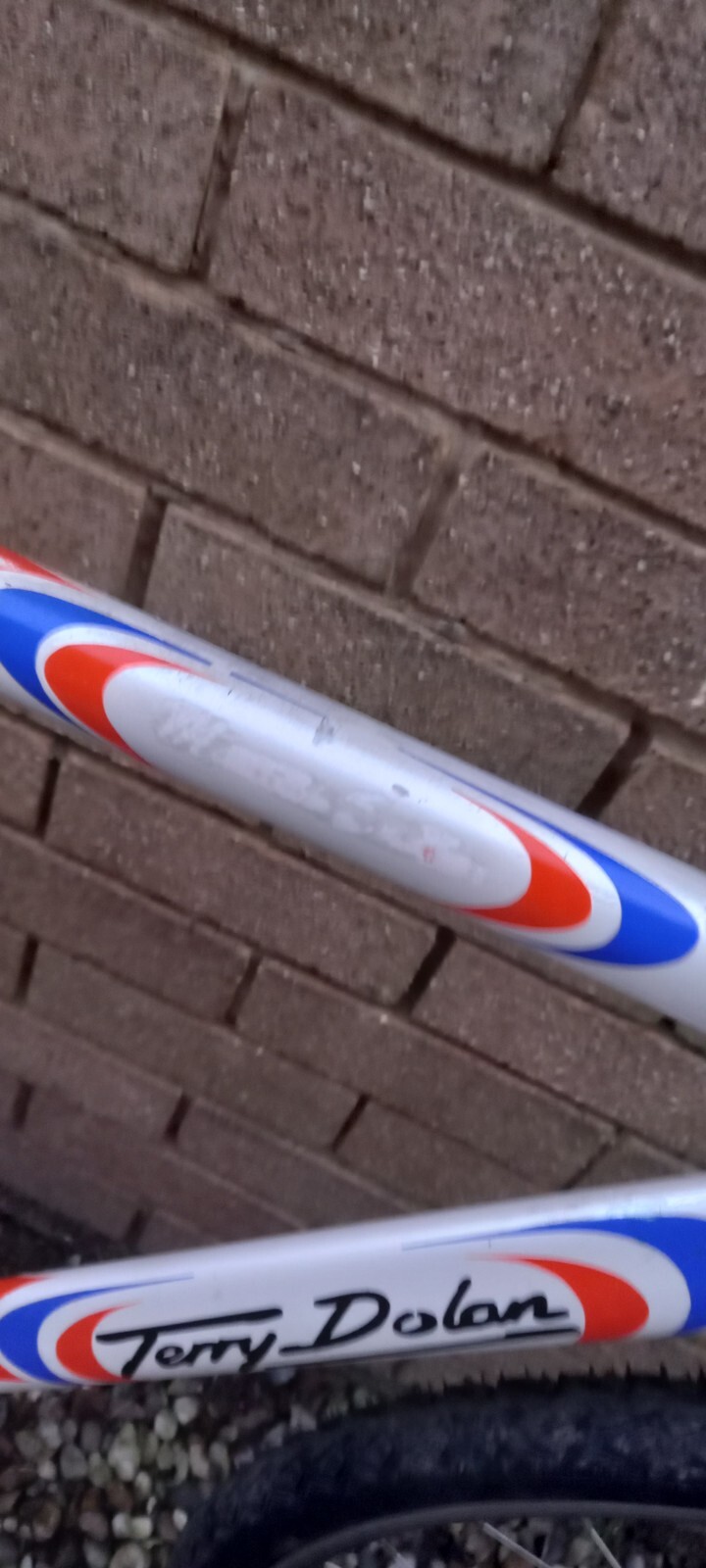 Terry Dolan Cyclocross Bike Frame Frameset eBay