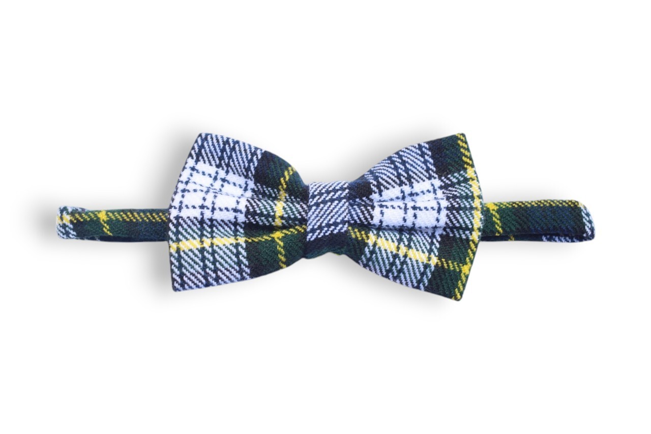 Cravatta A Farfalla Con Ricamo Paisley Da Uomo | SHEIN ALIA