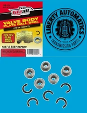 TECKPAK Fitzall Valve Body Plate Ball Seat Repair