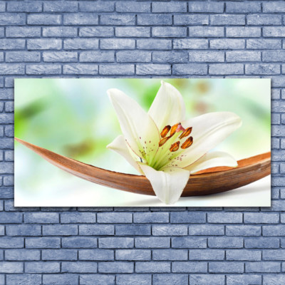 Acrylglasbilder Wandbilder Druck 140x70 Blume Pflanzen