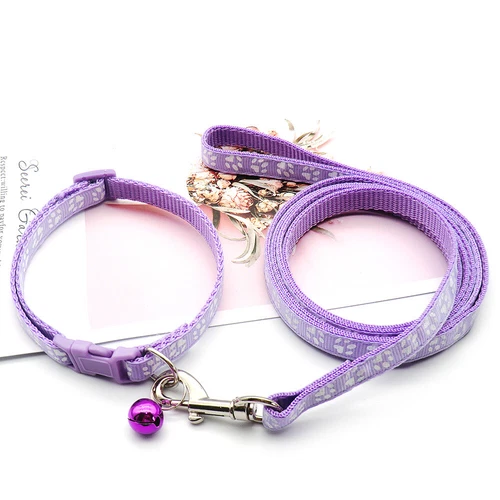 Kleines Hundehalsband und Leine Set verstellbar Welpenleine und Halsband Set Nylonriemen - Bild 7 von 36