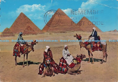D297539 Araber bei Gizeh Pyramidengruppe. Dar El Kitab el Guedid. PM. London. 1976
