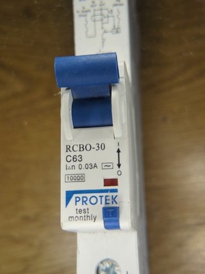 PROTEK RCBO-30 63 Amp Curve C 30mA 10kA RCBO SCHUTZSCHALTER Neu SCHNELLER VERSAND
