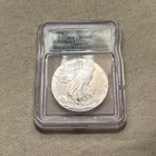 1999 American Silver Eagle ICG MS69 DC