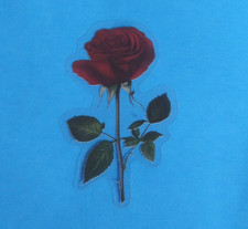 Beautiful Red Roses Transparent Sticker 2.38" x 1.58" E