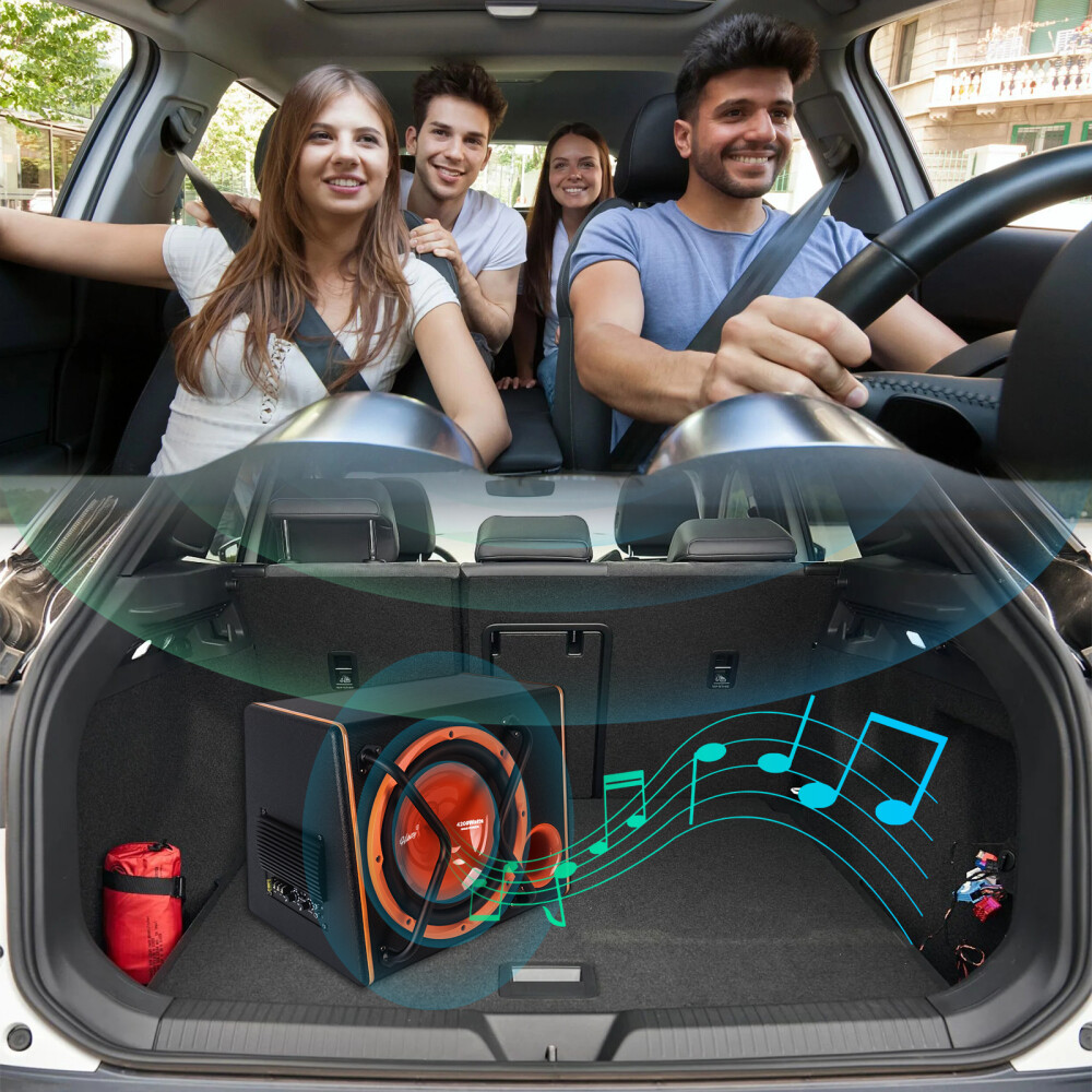 SBG-12KIT 30 Cm (12-Zoll) Subwoofer Und Digital Verstärker Mit