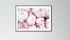Peonies Flowers poster print home wall art decor modern flower colourful print