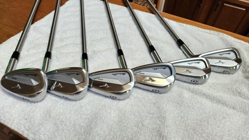 Mizuno Pro 223 irons 6-GW (excellent)