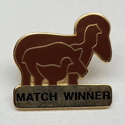   Target Shooting Match Winner Hat Lapel Jacket Pin Pinback