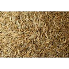 Premium Lawn Seed With Rye - 100g, 250g, 500g, 1kg, 2kg, 3kg, 4kg or 5kg Grass