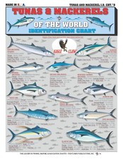 Tuna & Mackerel Fish Identification #9 - Quick Reference Guide