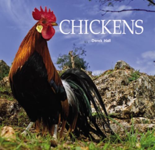 Chickens-Derek Hall (paperback) - Picture 1 of 1