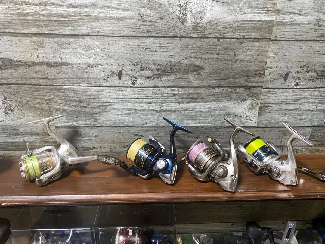 フィッシング SHIMANO TWINPOWER 2000 ＆ BIOMASTER C3000