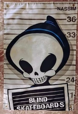 Blind Skateboards Banner Poster Tony Hawk Rodney Mullen Bam Deck Birdhouse Bones