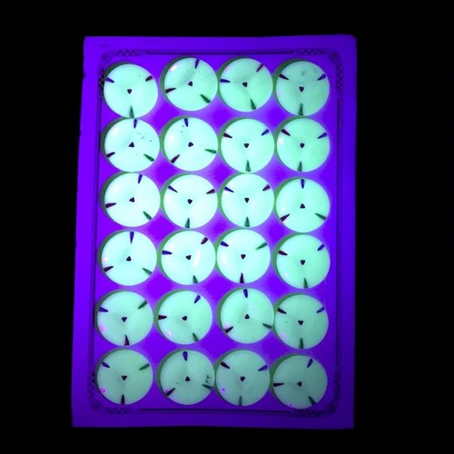 Card (24) vintage Czech hand painted geometric white uranium glass buttons 18mm - 第 1/4 張圖片