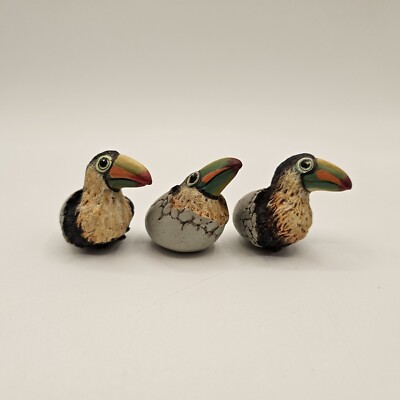 3 Hatching Baby Toucan Eggs Marked HFM
