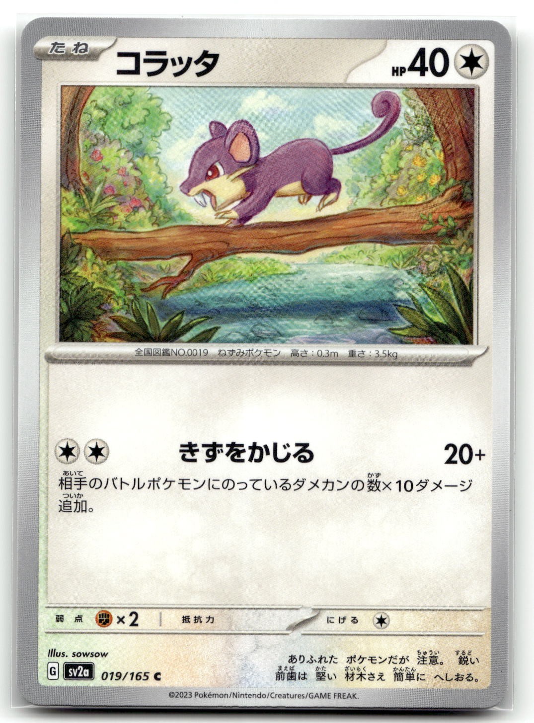 Rattata 019/165 SV2a: Pokemon Card 151 Common Pokemon TCG NM