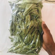 Premium Dried Guava Leaves - Hojas De Guayaba, 50g to 500g
