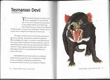 Commemorating One Hundred Years Of The Federation Of Australia 1901 - 2001