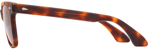 AO American Optical Saratoga #13 verde tortuga mate, polar o marco solamente - Imagen 2 de 4