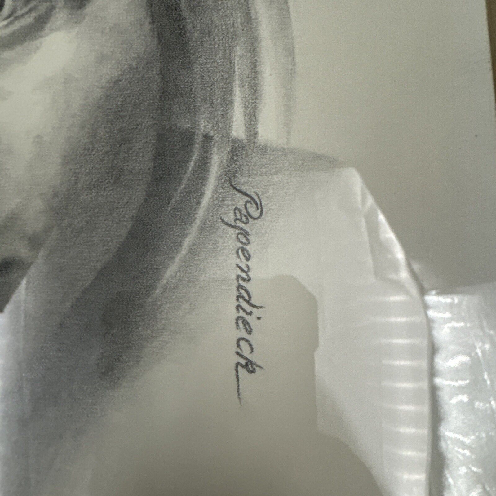 Picture 5 of 8