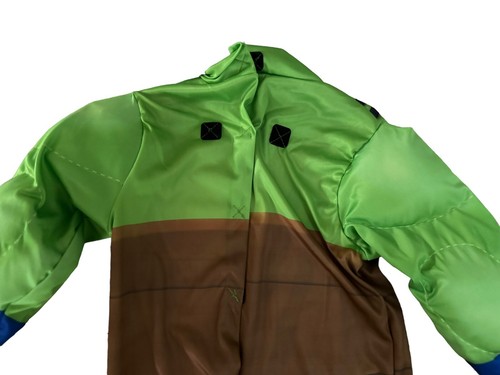 Teenage Mutant Ninja Turtles Mutant Mayhem Child Costume LEO Size Large 10-12 - Picture 7 of 11