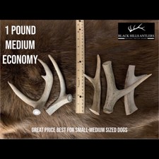 Medium Deer Antler Dog Chew - 1 Pound Economy