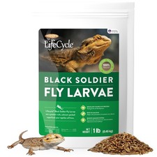 Black Soldier Fly Larvae, Bearded Dragon Food, Bugs for Reptiles, Worms for G...