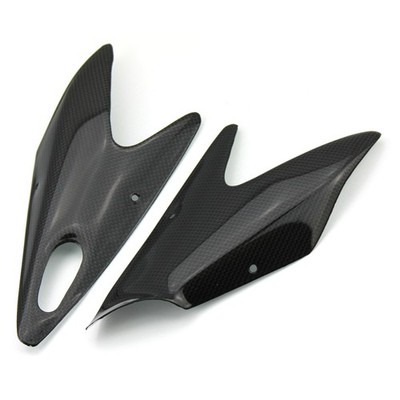 Carbon Kühlerverkleidung für MV Agusta Brutale 750 910 989 1078 S / R