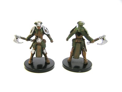 D&D Icons of the Realms - #005 Selesnya Druid - Guildmasters Guide to Ravnica