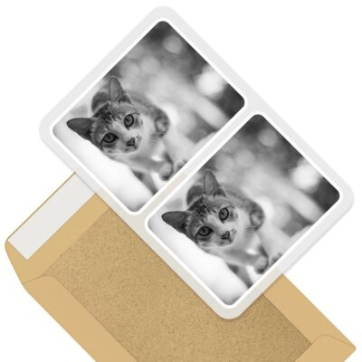 2 x Rectangle Stickers 10cm BW - Beautiful Pet Cat Kitten Fun #38548 | eBay