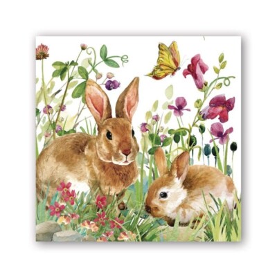 Michel Design Works Bunny Meadow Easter 20 Triple-Ply Paper Cocktail Napkins