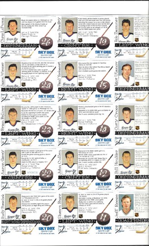 1995/96 TAMA BAY LIGHTNING COMMEMORATIVE (4) Four PHOTO ALBUM of PLAYERS - Picture 2 of 6