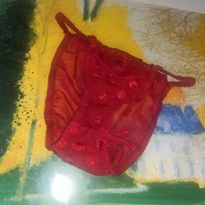 vintage bikini nylon small panties
