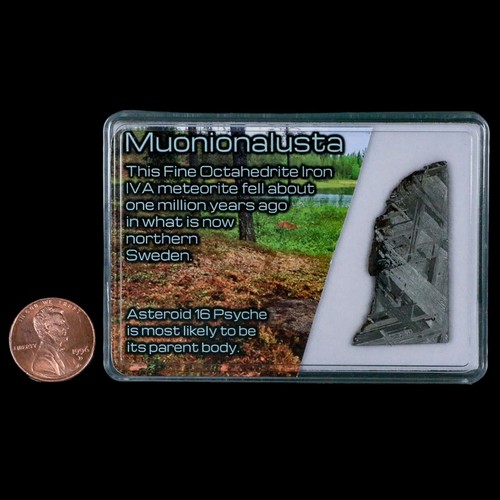 1.6" Muonionalusta Meteorite Specimen Sweden Meteorites Display 9.29 Grams - Picture 3 of 5