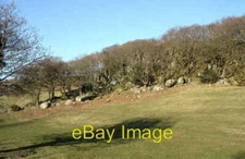 Photo 6x4 Coed Madog Woodland Penisa'r Waun This woodland occupies an out c2008