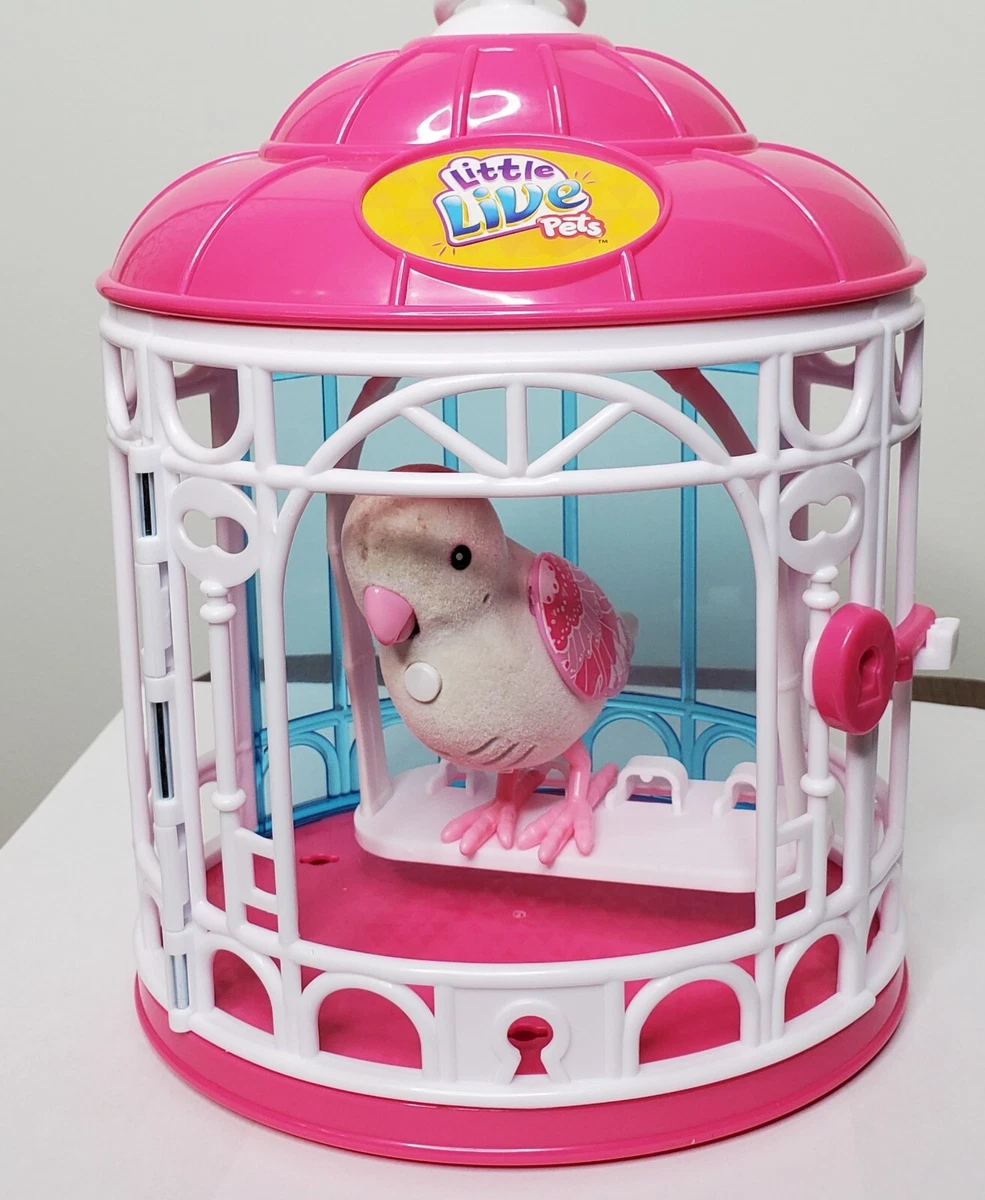 Talking bird best sale toy with cage