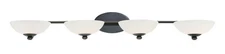 Dolan Designs 3904-78 Rainier 4 Light 43.75 inch Bolivian Bath Vanity Wall Light