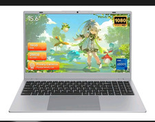 15.6" Intel Core i5 6th Gen 16GB RAM 256GB SSD 1080p Silver Laptop