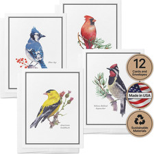 Paper Birds of America Thank You Cards, 12 Blank Note Cards Matching Envelopes