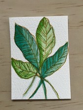 ACEO original artist trading cards watercolor flowers floral trade pretty garden