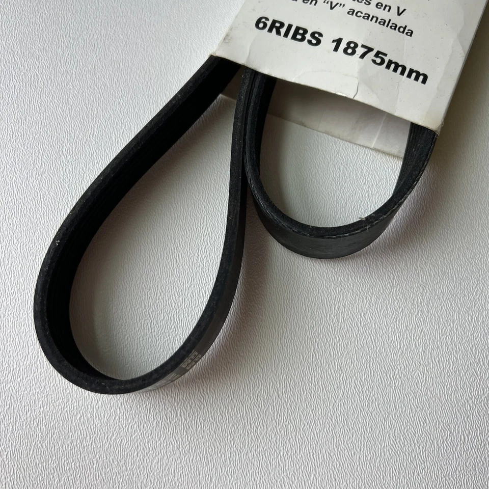 04-11 Chevrolet Aveo 10 PONTIAC G3 Serpentine Correa de ventilador de transmisión 25183021 NUEVO OEM Foto 3 de 4