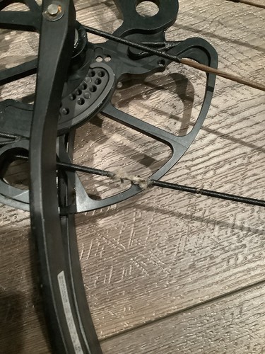 BEAR compound bow RANT - Picture 8 of 19