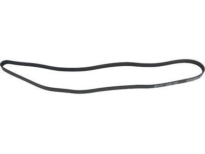 Multi Rib Belt For A4 Quattro NF623YC