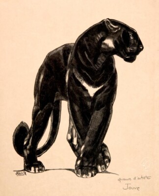 Black Panther by Paul Jouve   Art Deco Animal Wood Engraving Print to Frame