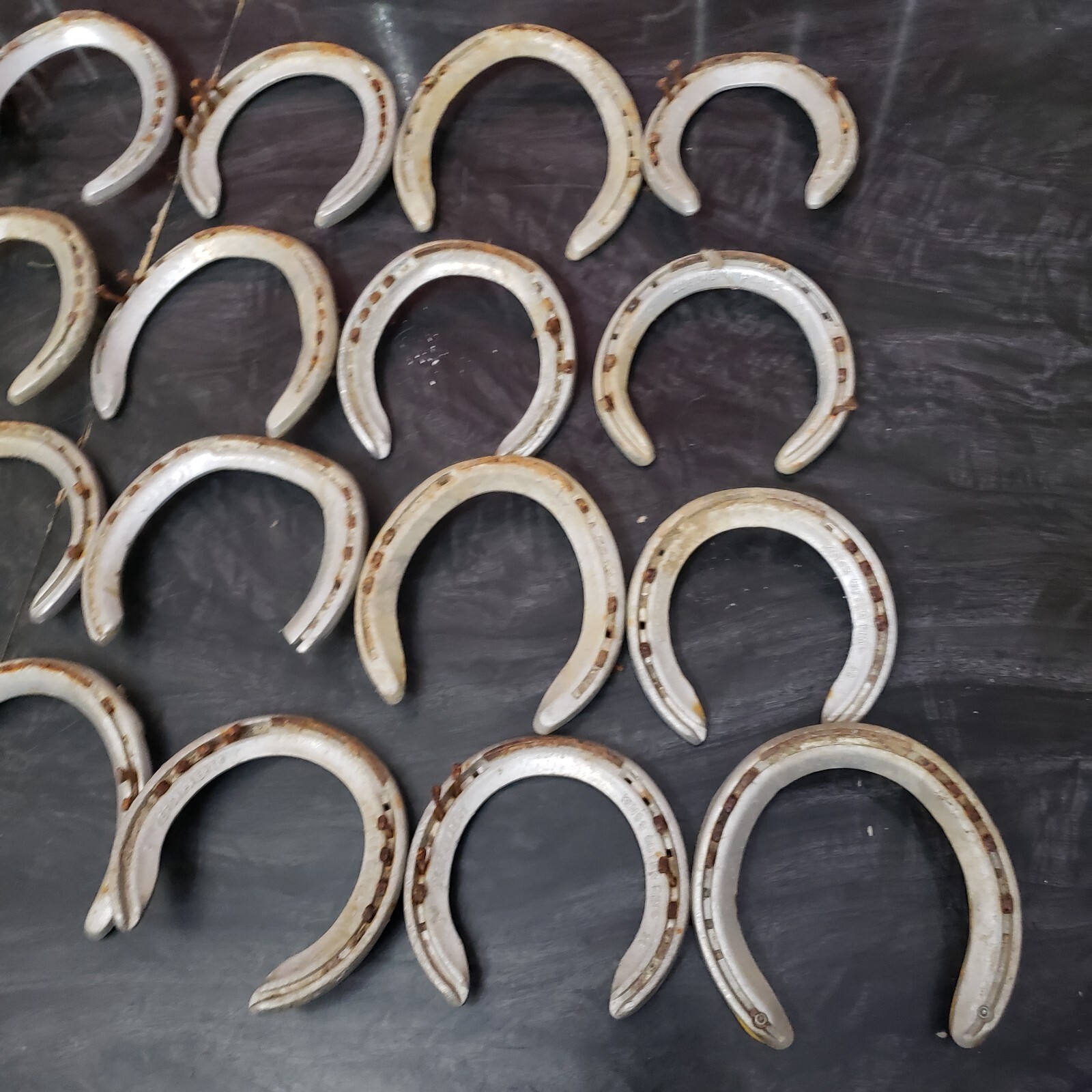Lot ThoroBred Queens Plate Horse Shoes & Kerckhaert Kings Outer Rim Horse Shoes eBay