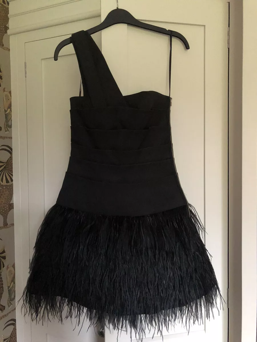 Warehouse feather outlet dress